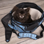 CARRYING BAG FINCHLEY DELUXE BLUE