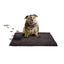 MAGICLEAN MAT