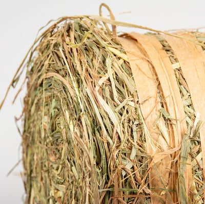 PLAY HAY BALE NATURE