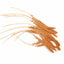 RED MILLET