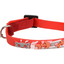 COLLAR KITTEN NANOU