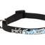 COLLAR KITTEN NANOU