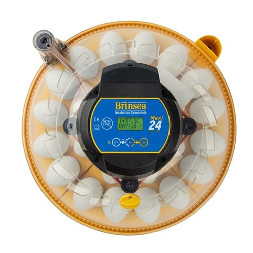 BRINSEA MAXI 24 ZOOLOGICA EXOTIC EGG INCUBATOR