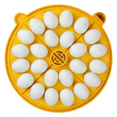 TRAY 24 PHEASEANT/HEN EGGS FOR BRINSEA MAXI 24