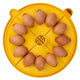 TRAY 12 DUCK/LARGE HEN EGGS FOR BRINSEA MAXI 24