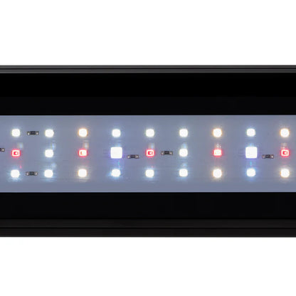 ELBA 80 – 8mm glass