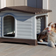 DOGVILLA