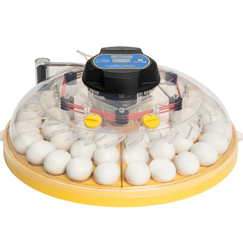 BRINSEA MAXI 48 EX CONNECT APP CONTROLLED INCUBATOR