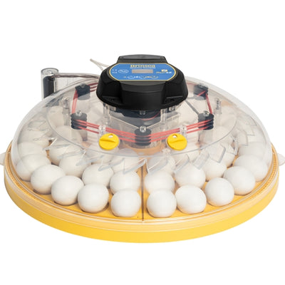 BRINSEA MAXI 48 EX CONNECT APP CONTROLLED INCUBATOR