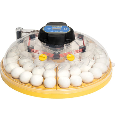 BRINSEA MAXI 48 ADVANCE FULLY DIGITAL INCUBATOR