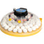 BRINSEA MAXI 48 ADVANCE FULLY DIGITAL INCUBATOR