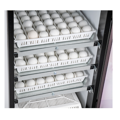 OVAEASY 380 EX CONNECT SERIES III CABINET INCUBATOR