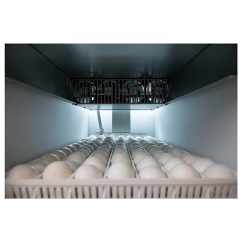 OVAEASY 380 EX CONNECT SERIES III CABINET INCUBATOR