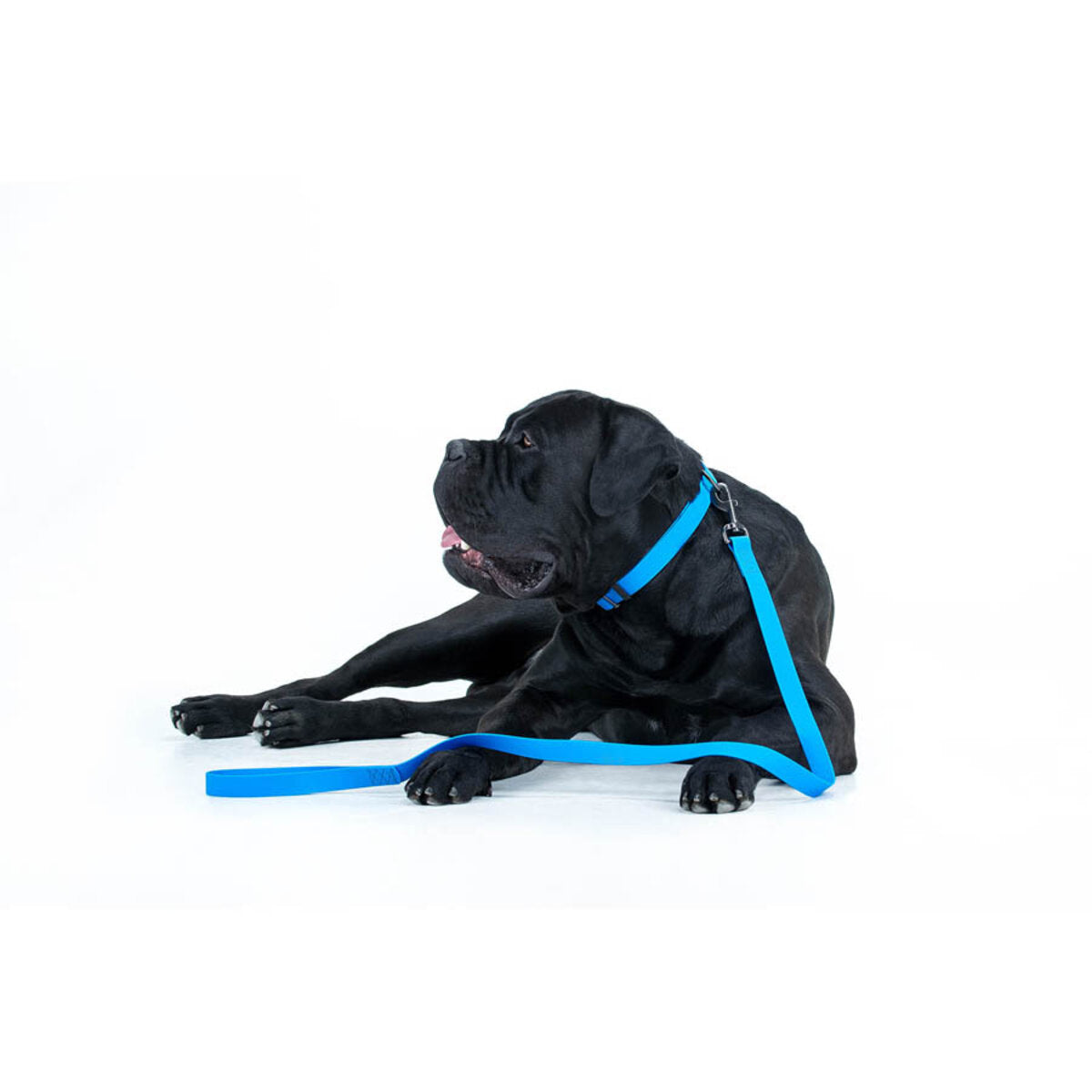 WAUDOG WATERPROOF DOG LEASH SMALL