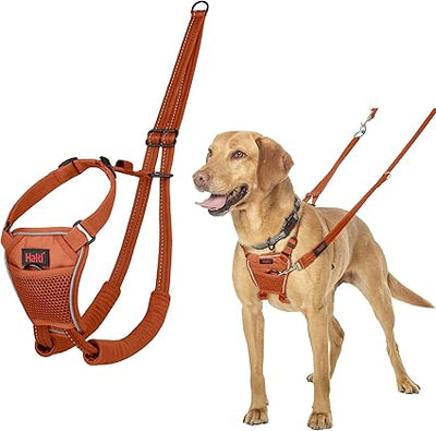 HALTI NO PULL HARNESS