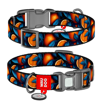 WAUDOG NYLON DOG COLLAR WITH QR PASSPORT ORANGES DESIGN