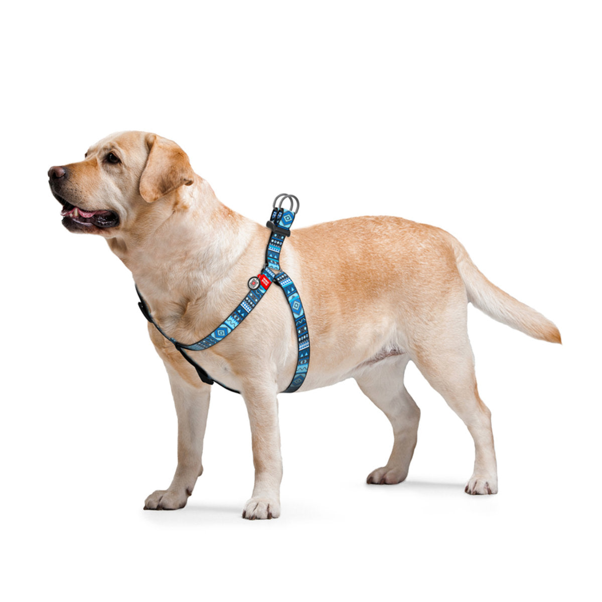 WAUDOG NYLON DOG HARNESS ETNO BLUE DESIGN