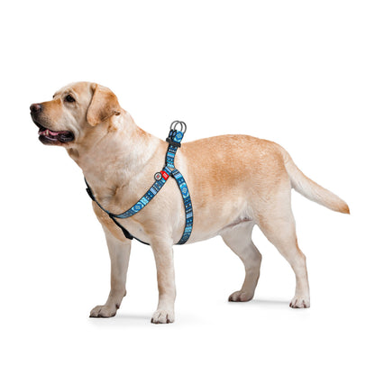 WAUDOG NYLON DOG HARNESS ETNO BLUE DESIGN