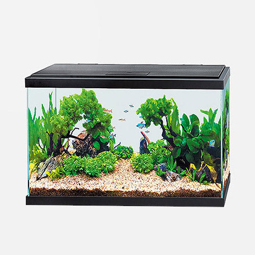 АКВАРИУМ WONDER PALACE GLOW