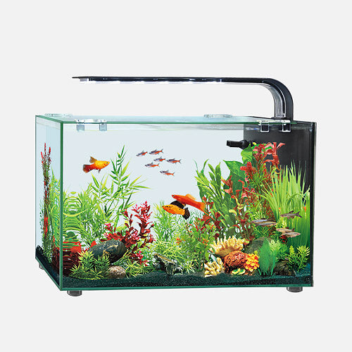 AQUARIUM DESKTOP TANK
