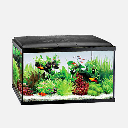 RIPPLE AQUARIUM