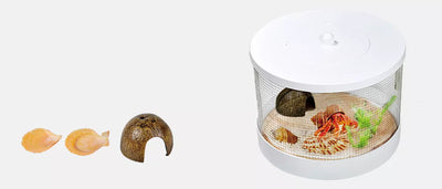 CRAB HABITAT