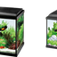 RIPPLE AQUARIUM