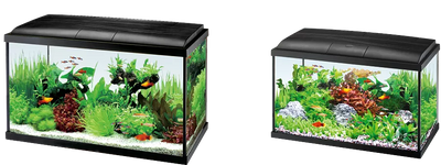 RIPPLE AQUARIUM