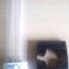 SPARE LAMP UV-C PL