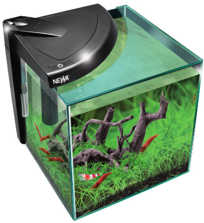 NEWA FRESHWATER AQUARIUM