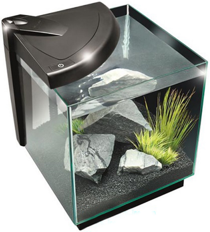 NEWA FRESHWATER AQUARIUM