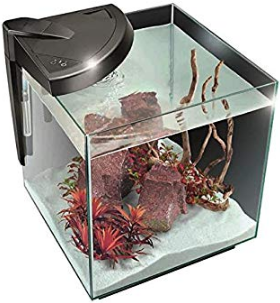 NEWA FRESHWATER AQUARIUM