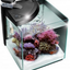 NEWA AQUARIUM
