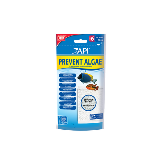 DOSE PREVENT ALGAE SIZE 6