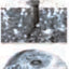 Fountain heads(PFN)