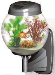 WALL BASE FOR AQUARIUMS