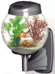 WALL BASE FOR AQUARIUMS