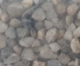 NATURAL MULTICOLORED GRAVEL 3-5MM