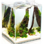 SHRIMP SET SMART 30