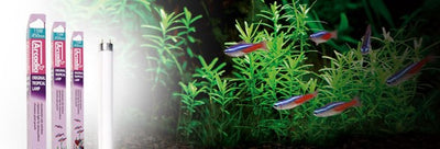 ОРИГИНАЛЬНАЯ ТРОПИЧЕСКАЯ ЛАМПА T8