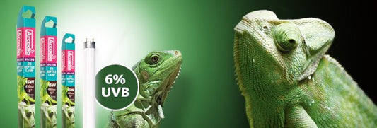 D3 REPTILE LAMP T8