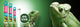 D3 REPTILE LAMP T8