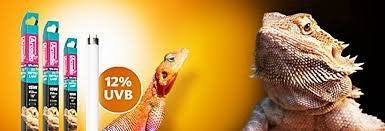 D3+ REPTILE LAMP 12% UVB T8