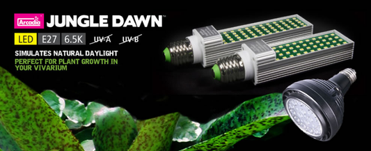 ARCADIA LED JUNGLE DAWN E27