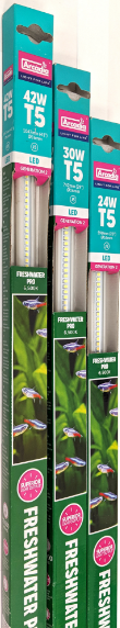 LED ΓΛΥΚΟΥ ΝΕΡΟΥ 6.500Κ