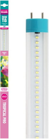 ОРИГИНАЛЬНЫЙ ТРОПИЧЕСКИЙ СВЕТОДИОД 10700K