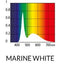 MARINE BLUE LED 25000K