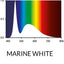 MARINE WHITE T5 LED 13000K
