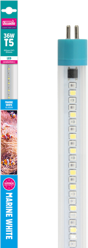 МОРСКОЙ БЕЛЫЙ T5 LED 13000K