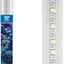 MARINE BLUE T5 LED 25000K
